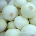 Exportação de boa qualidade Fresh Chinese Peeled Onion